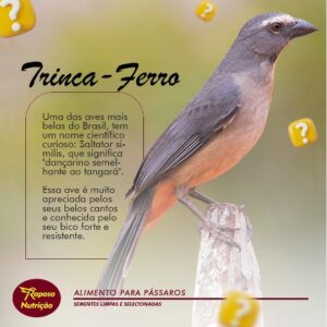 Trinca-ferro - blog- Raposo Nutrição