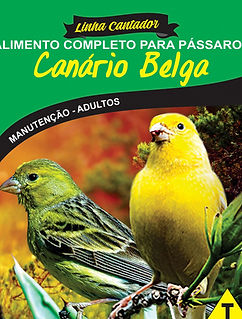 Canário Belga - Linha Cantador - Raposo Nutrição