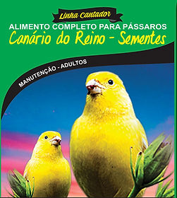 Canário do Reino - Sementes - Linha Cantador - Raposo Nutrição