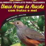 Oleosa Aroma de Abacate com Frutas e Mel - Linha Nobre - Raposo Nutrição