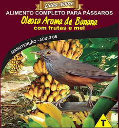 Oleosa Aroma de Banana com Frutas e Mel - Linha Nobre - Raposo Nutrição