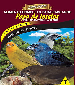 Papa de Insetos - Linha Nobre - Raposo nutrição