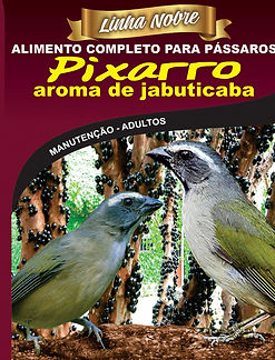 Pixarro Aroma de Jabuticaba - LInha Nobre - Raposo Nutrição