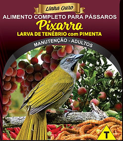 Pixarro Larva de Tenébrio com Pimenta - LInha Ouro - Raposo Nutrição