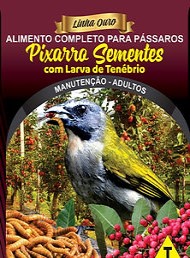 Pixarro Sementes com Larva de Tenébrio - Linha Ouro - Raposo Nutrição