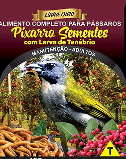 Pixarro Sementes com Larva de Tenébrio - Linha Ouro - Raposo Nutrição