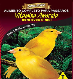 Vitamina Amarela com ovos e mel - Linha Nobre - Raposo Nutrição