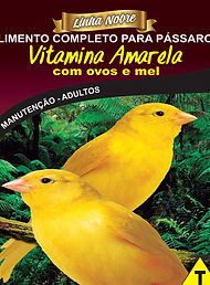 Vitamina Amarela com ovos e Mel - Linha Nobre - Raposo Nutrição