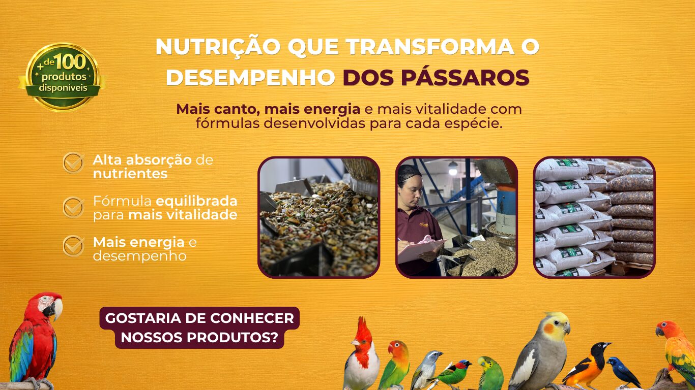 Nutrição para seus Pássaros